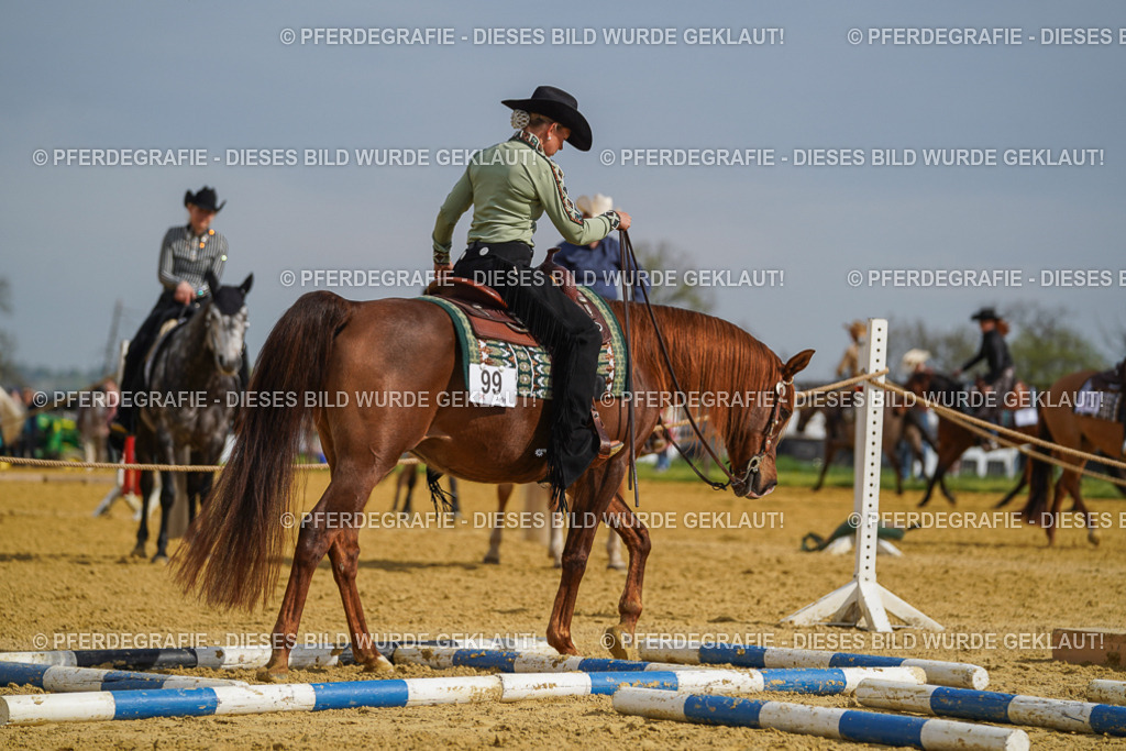 DSC01788 | Pferdegrafie