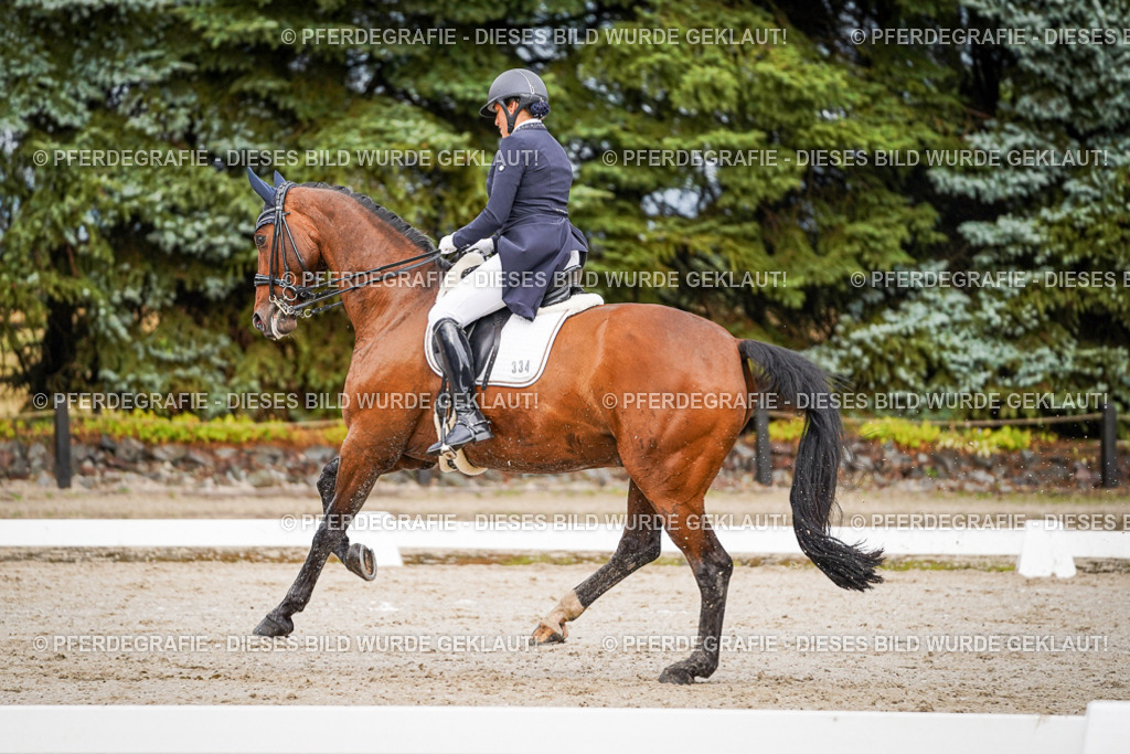 DSC09731 | Pferdegrafie