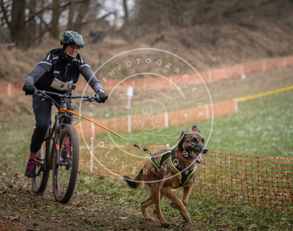 Pfotenfotografie_DV3A6265 | Hundefotografie, Tierfotograf, Pfotenfotografie, Fotoshooting Hund, Hunde Portrait, Hundesport, Hundeportraits, Heideshooting, Hunde, Sportfotograf, Hundefotograf, Turnierhundsport, THS,  - Realisiert mit Pictrs.com