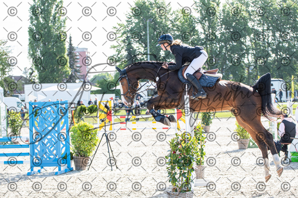 KPT_4480 | andre_photographic