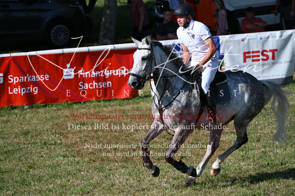 DSC_2587 | Pferde- und Turnierfotografie in Westsachsen. Pferdeportraits, Auftragszeichnungen und intuitive Kunst.