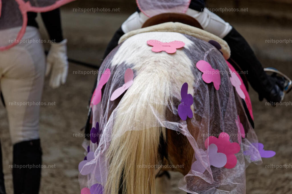 JHE30152 | JoYa Fotografie - Realisiert mit Pictrs.com
