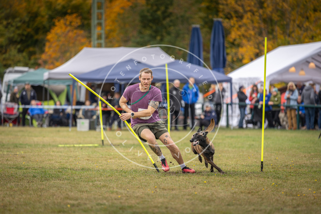 Pfotenfotografie_DV3A8073 | Hundefotografie, Tierfotograf, Pfotenfotografie, Fotoshooting Hund, Hunde Portrait, Hundesport, Hundeportraits, Heideshooting, Hunde, Sportfotograf, Hundefotograf, Turnierhundsport, THS,  - Realisiert mit Pictrs.com