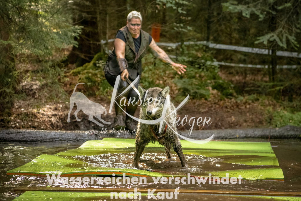 1406_ZZ90985-Bearbeitet | kk-dogfotos