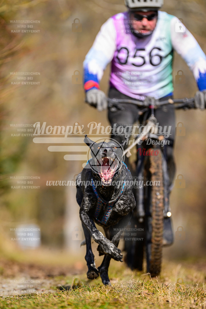 MompixPhotography_Schwabentrail2025_SO_Bike-68 | PayLife