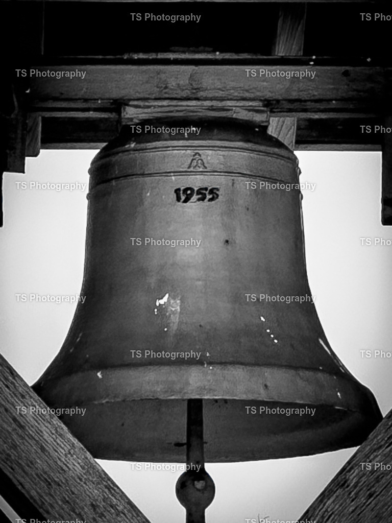 IMG_3823 | TS Photography - Realisiert mit Pictrs.com