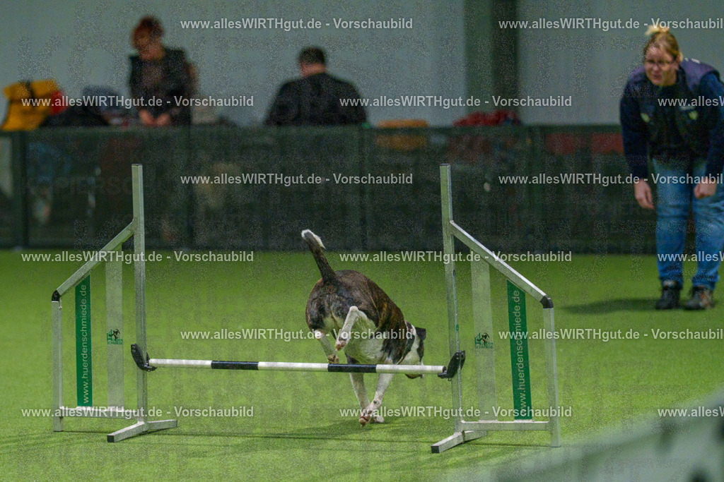 7R504713 | Professionelle Tierfotografie in Mönchengladbach von Daniel Wirth (allesWIRTHgut). Liebevolle & natürliche Bilder von Hunden & Katzen für unvergessliche Erinnerungen.