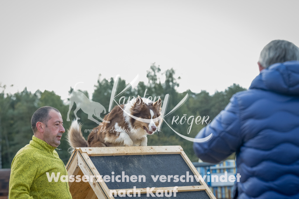 0923_ZZ92329-Bearbeitet | kk-dogfotos