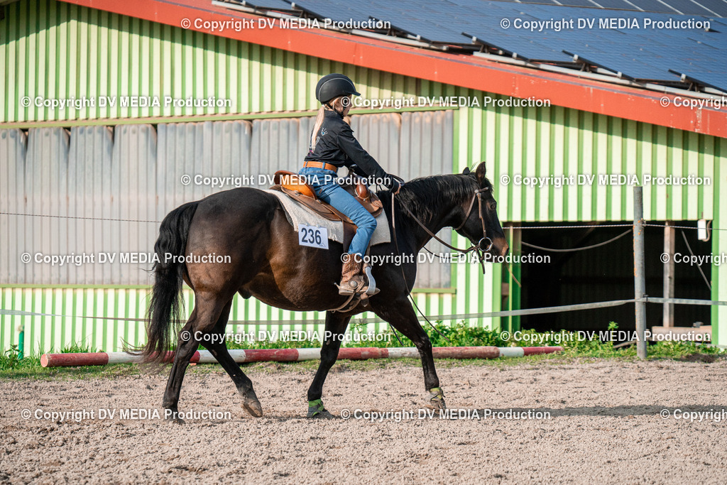 BAL02908 | dv-media-shop - Realisiert mit Pictrs.com