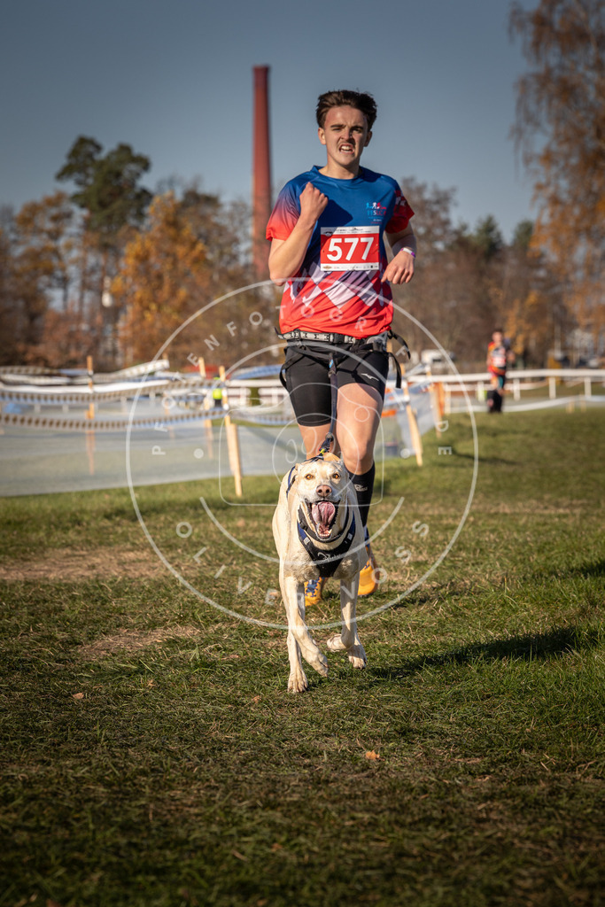 CaniXpix_0L8A8116 | Hundefotografie, Tierfotograf, Pfotenfotografie, Fotoshooting Hund, Hunde Portrait, Hundesport, Hundeportraits, Heideshooting, Hunde, Sportfotograf, Hundefotograf, Turnierhundsport, THS,  - Realisiert mit Pictrs.com