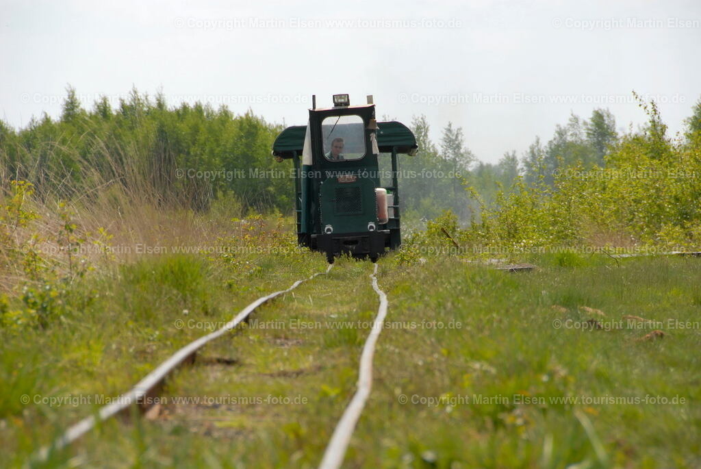 Moorkieker Aschhornermoor_DSC01 (145) | Fotos aus den Touristenorten aus Norddeutschland. - Realisiert mit Pictrs.com