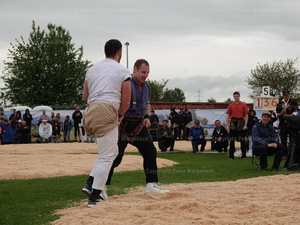 DSC06347 | Schwingen - Realisiert mit Pictrs.com