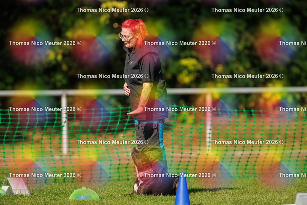 Thomas_Nico_Meuter(C)_04. Oktober 2026_223A2348 | Bild von Thomas Nico Meuter - Realisiert mit Pictrs.com