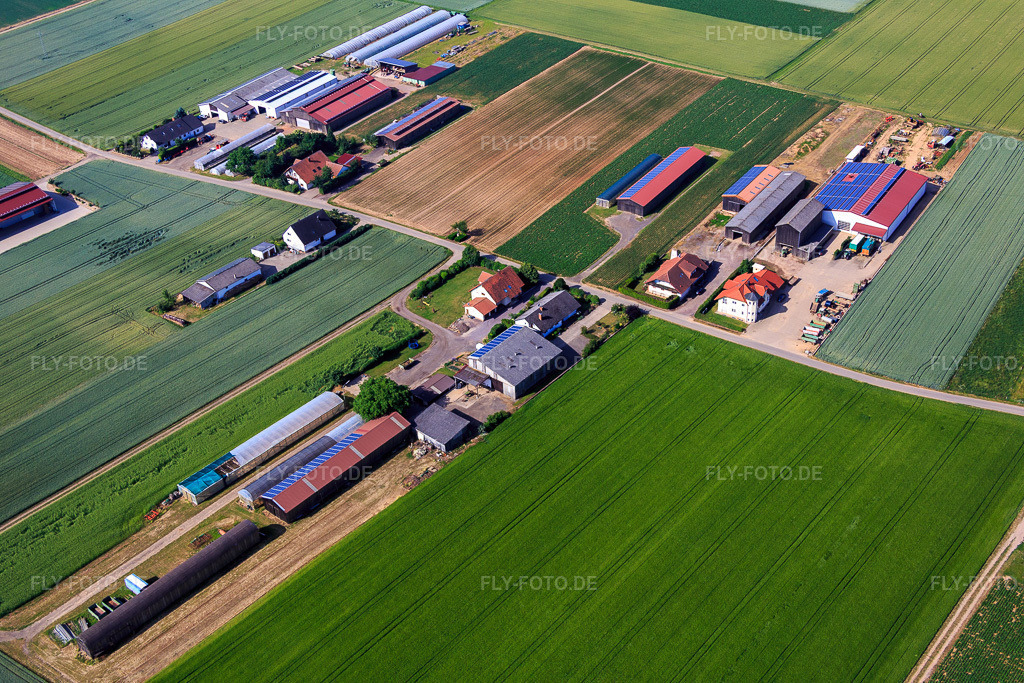 Luftbild: Aussiedlerhöfe am Wingertsberg von Kerner Andreas und Detzel GbR - Lagerhalle in Herxheim bei Landau im Bundesland Rheinland-Pfalz in Deutschland. Foto: IMG_080995.jpg vom 14.06.2015 durch Werner Riehm/FLY-FOTO.de