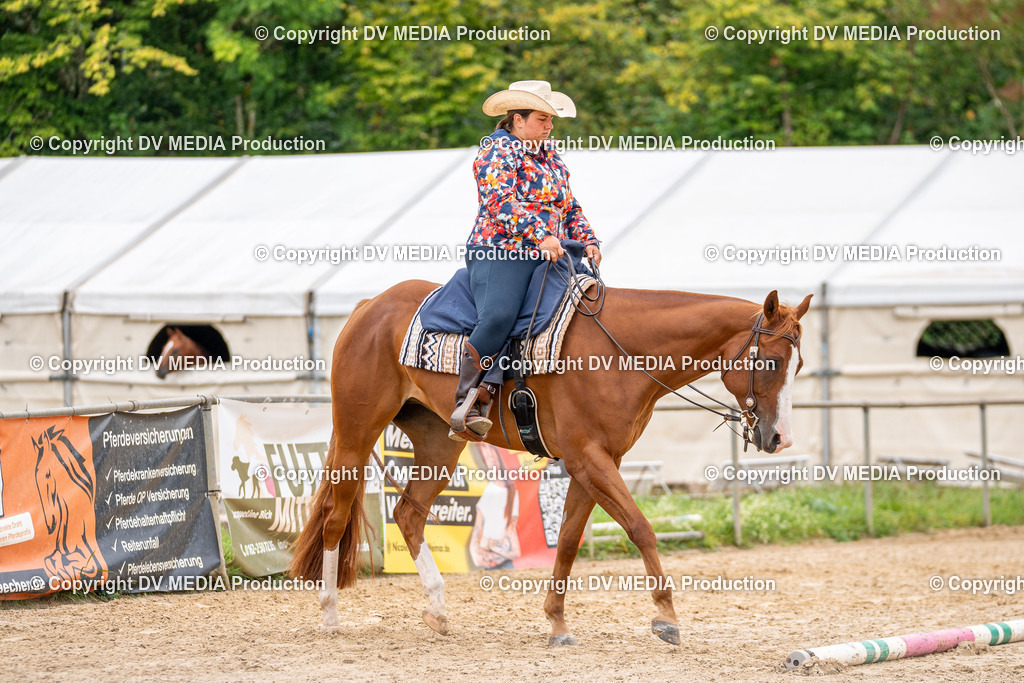 LM Heiligenwald Tag 3-973 | dv-media-shop - Realisiert mit Pictrs.com