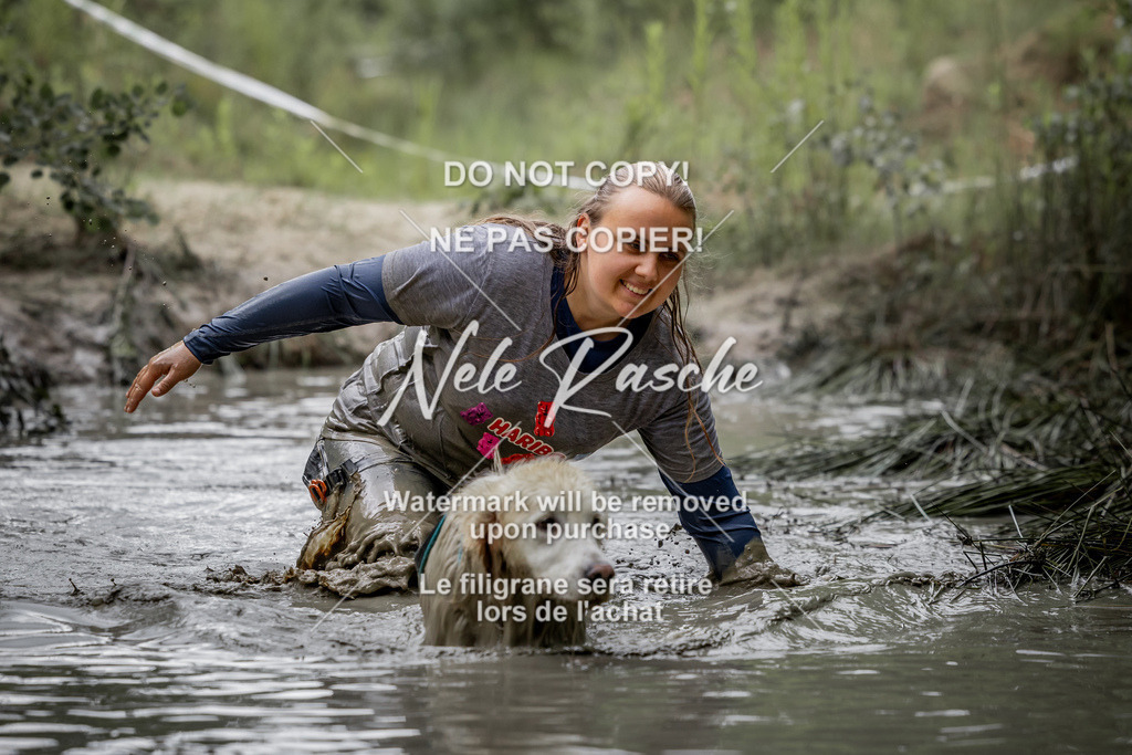 nelerasche_so0800-0930_472 | nelerasche