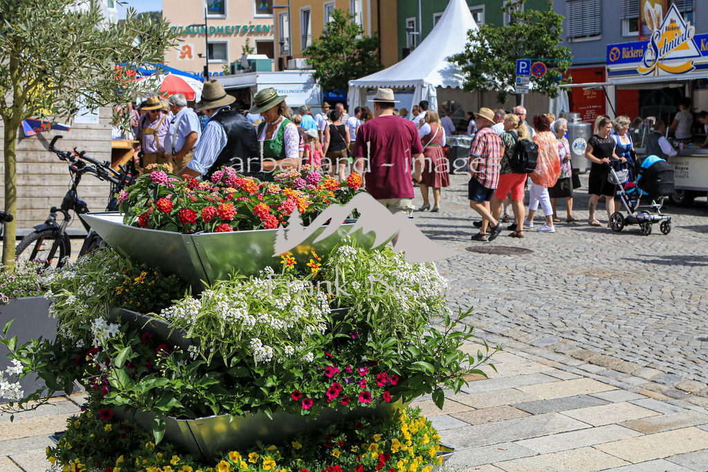 OE7A3783 | Medien- Sport- Entertainmentfotos