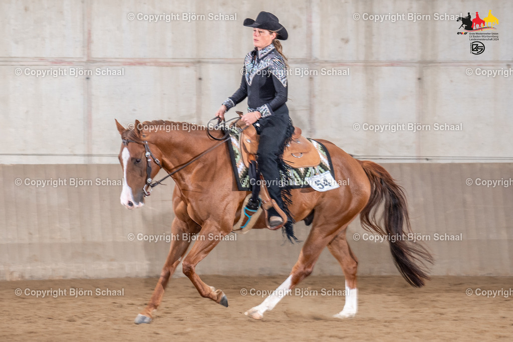 LMB06351 | BS-foto