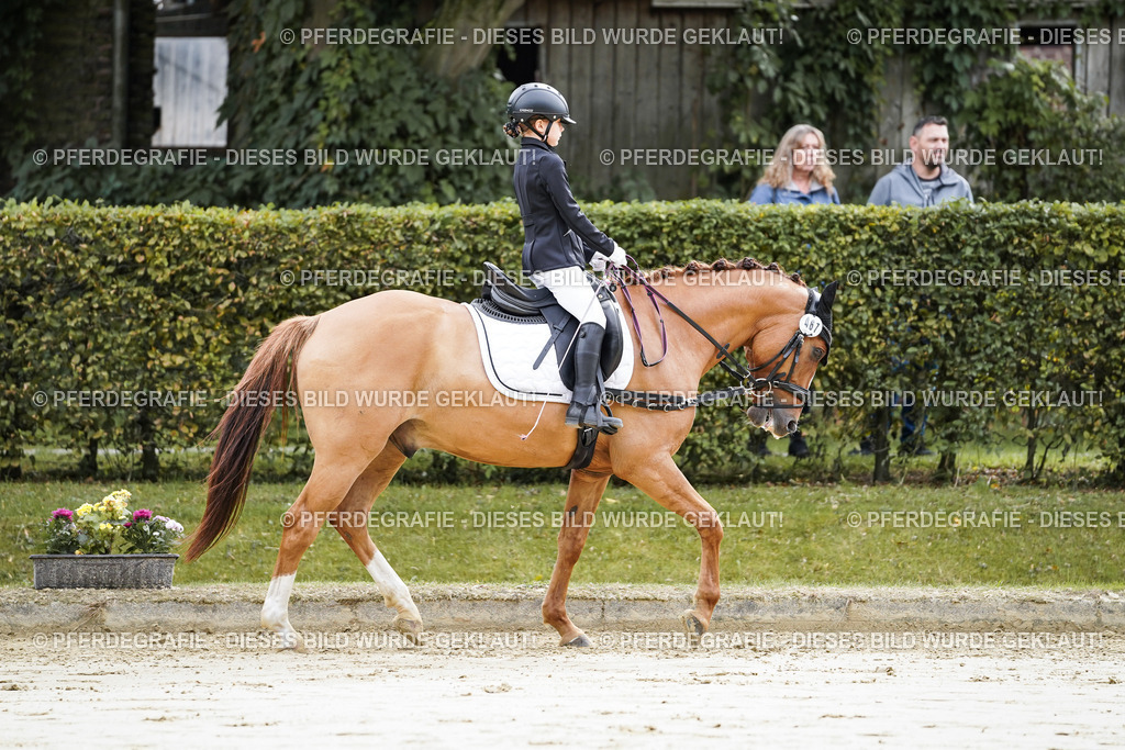 DSC05228 | Pferdegrafie