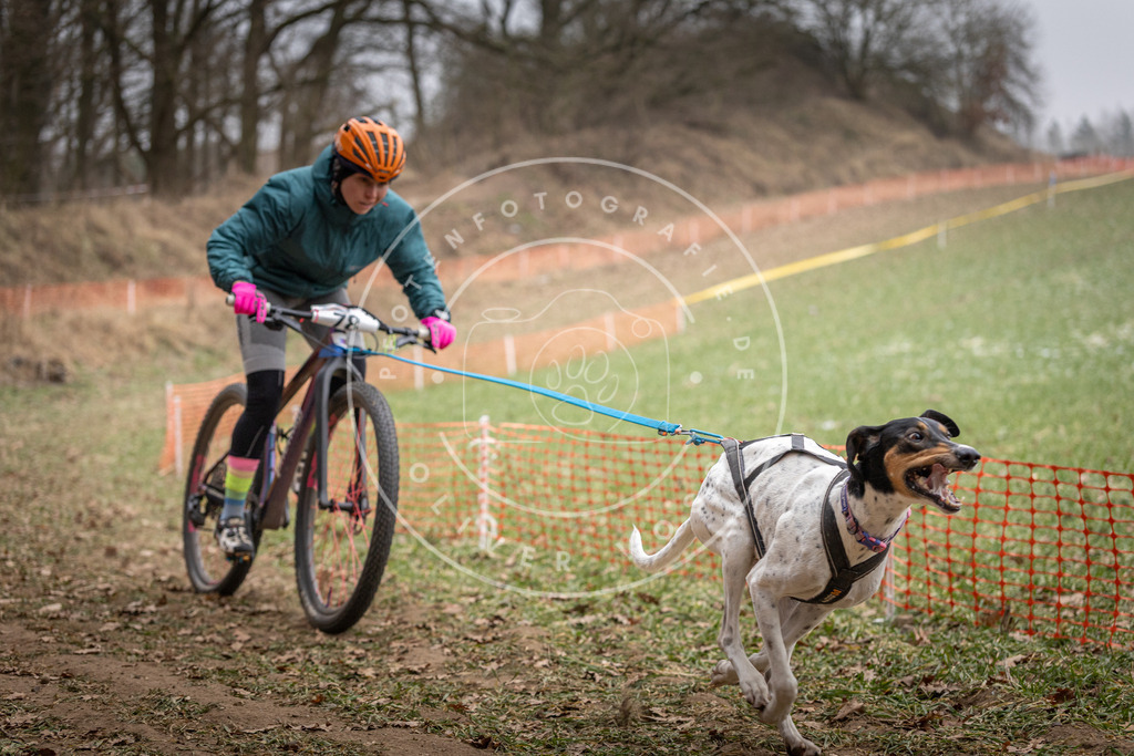 Pfotenfotografie_DV3A5095 | Hundefotografie, Tierfotograf, Pfotenfotografie, Fotoshooting Hund, Hunde Portrait, Hundesport, Hundeportraits, Heideshooting, Hunde, Sportfotograf, Hundefotograf, Turnierhundsport, THS,  - Realisiert mit Pictrs.com