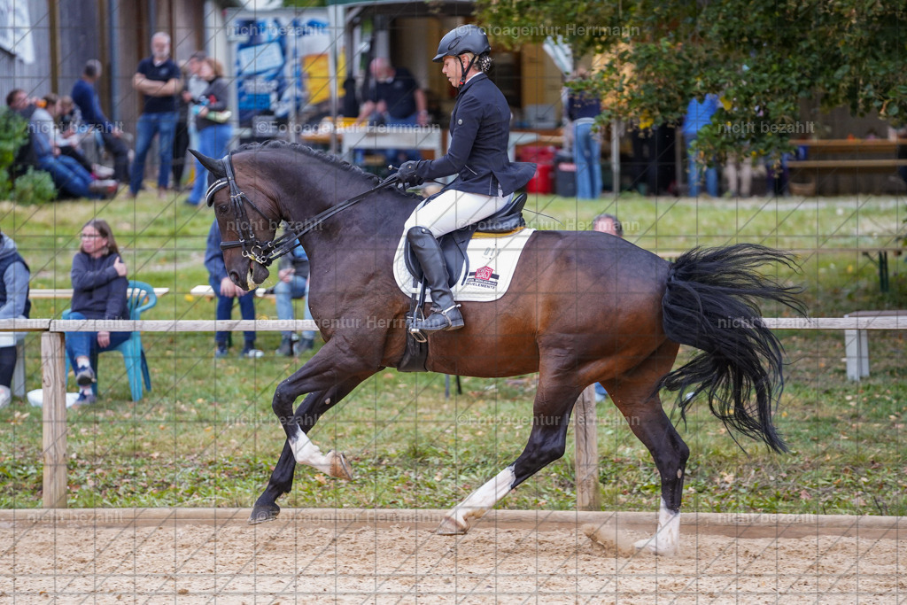 20231007-SN_00873 | Professionelle Turnier- und Reitsportfotografie - mit dem Finger am Auslöser. Pferdebilder aus dem Reitsport von den Turnierfotografen  Bayern , Pferdefotograf Bayern, Pferdeshooting Turnierbilder, Hochzeitsfotograf, Eventfotograf, Hochzeitsbilder