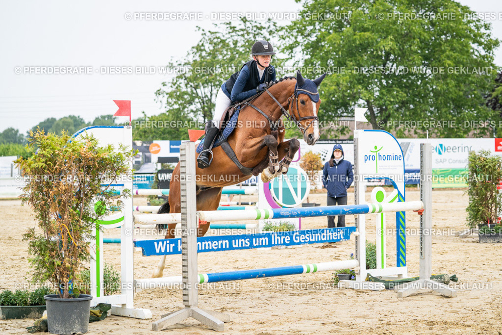 DSC09833 | Pferdegrafie