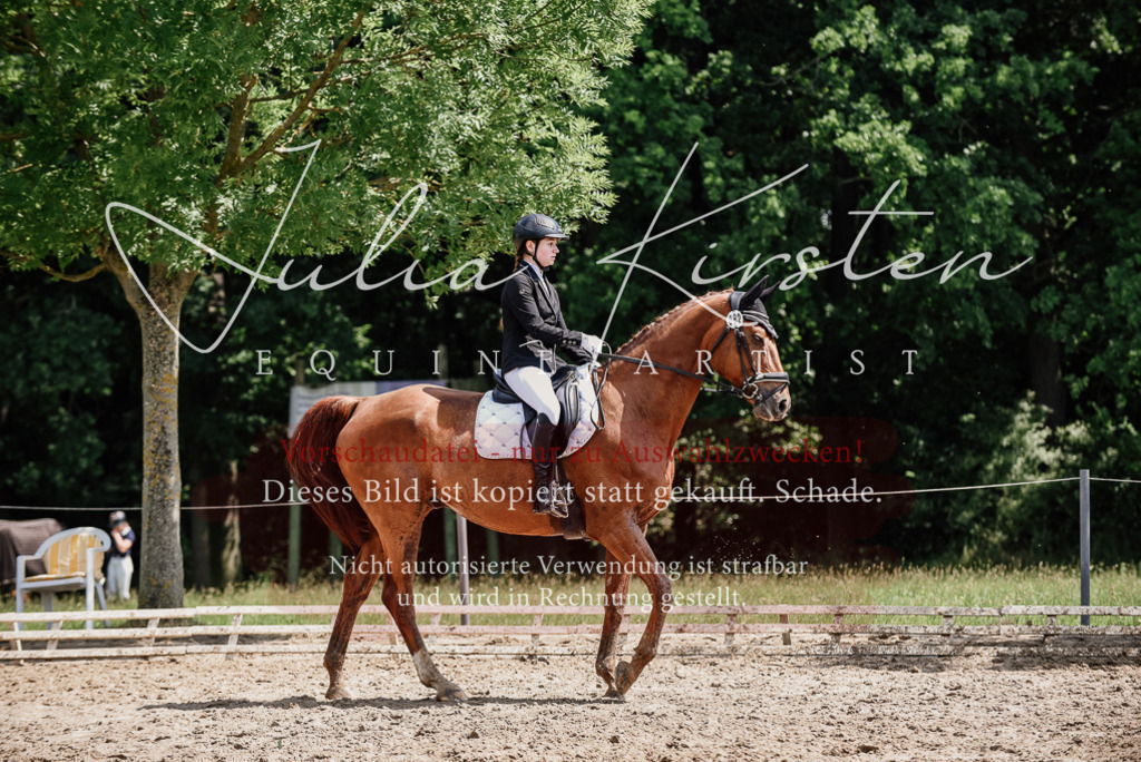 DSC_1370 | Pferde- und Turnierfotografie in Westsachsen. Pferdeportraits, Auftragszeichnungen und intuitive Kunst.