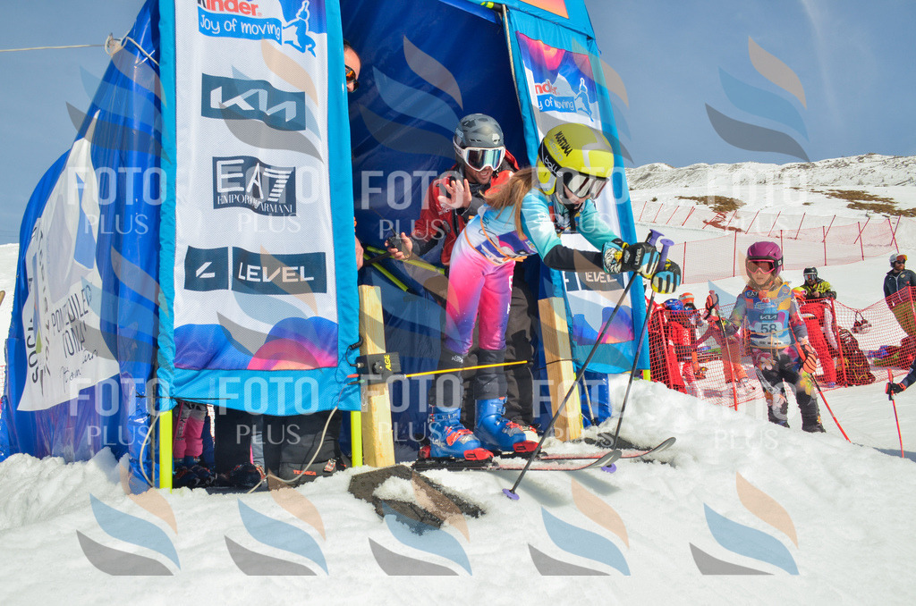 _ELE5021 | holidayphoto