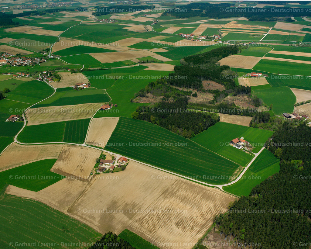 2519037 | Hailing, Leiblfing