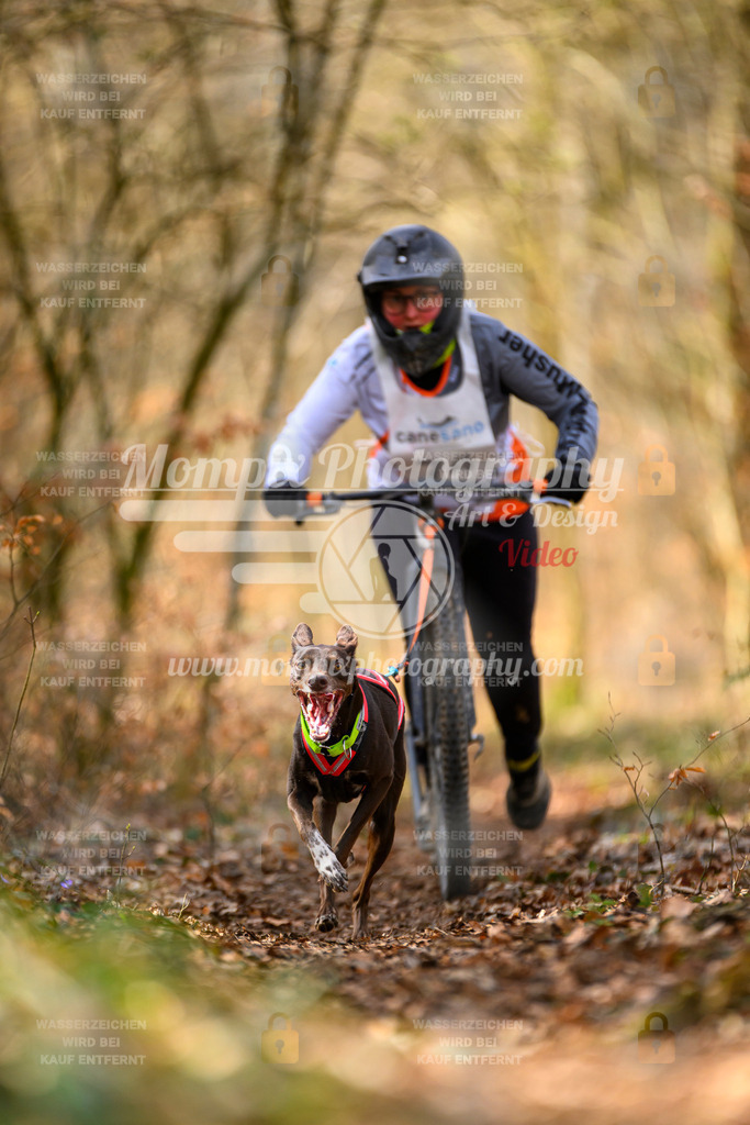 MompixPhotography_ReiatRennen2024_SO_DS1-35 | PayLife