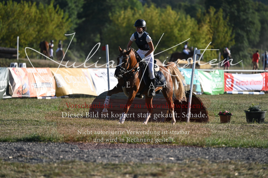 DSC_9076 | Pferde- und Turnierfotografie in Westsachsen. Pferdeportraits, Auftragszeichnungen und intuitive Kunst.