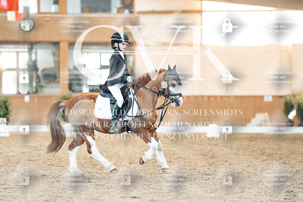 CK907283 | Turnierfotografie Pferdefotografie Trier Rheinland-Pfalz Pferdesport Reitsport Tierfotografie Sportfotografie Pferdevideo Pferdevideografie Equestrianvideography equestrianphotography  - Realisiert mit Pictrs.com