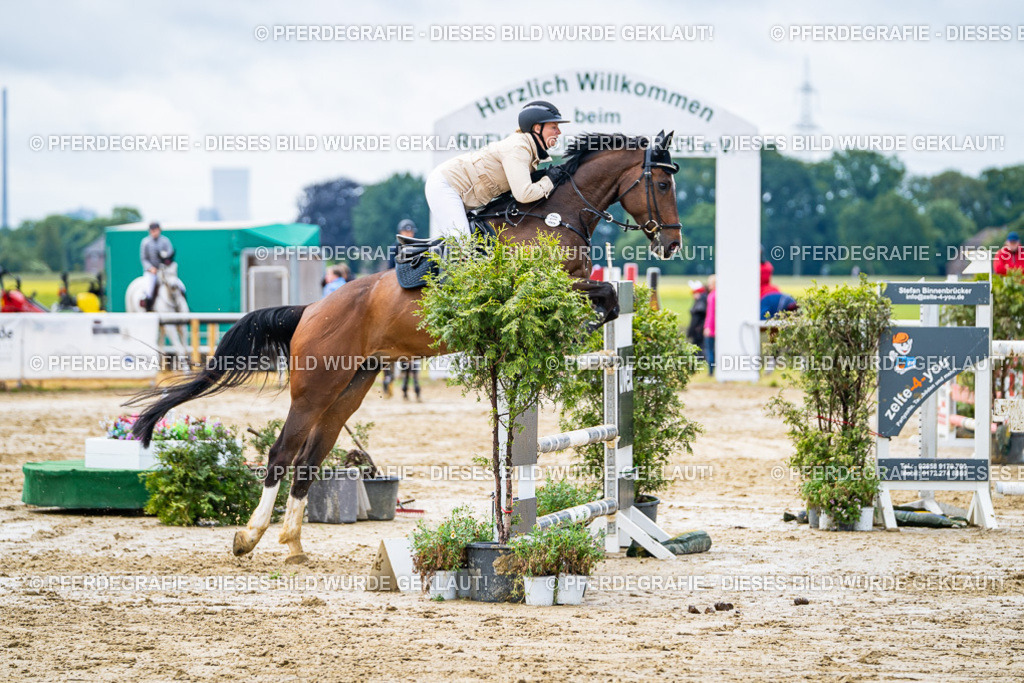 DSC03932 | Pferdegrafie