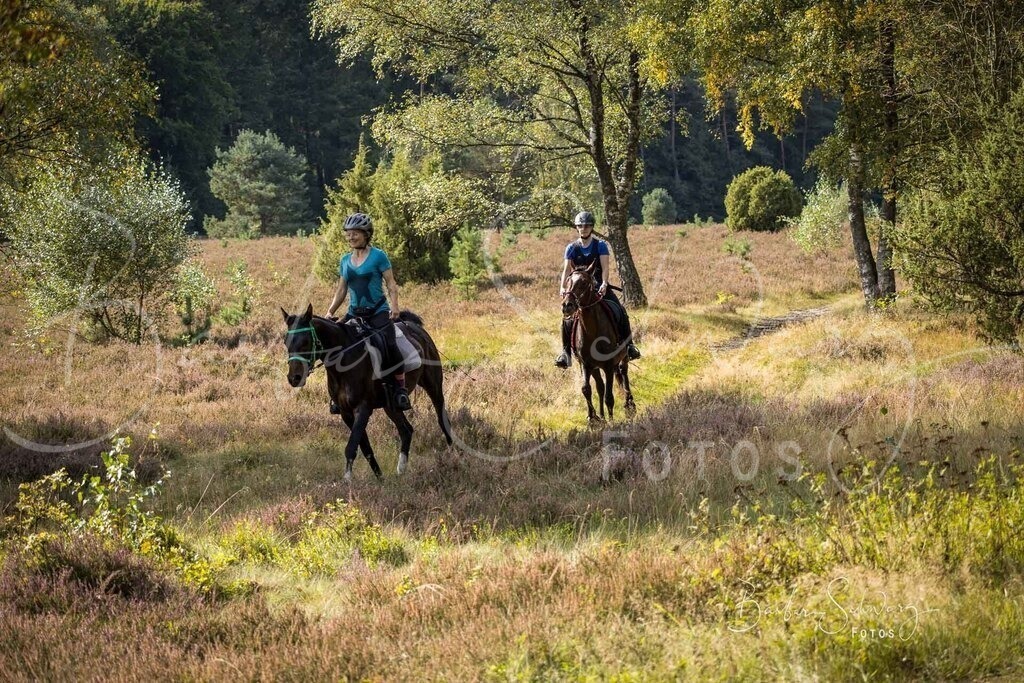 DdLH-WehlenerHeide_2025-09-20_80 | Fotografie, Veranstaltungs-Fotografie, Pferde-Fotografie, Landschafts-Fotografie, Reise-Fotografie - Realisiert mit Pictrs.com