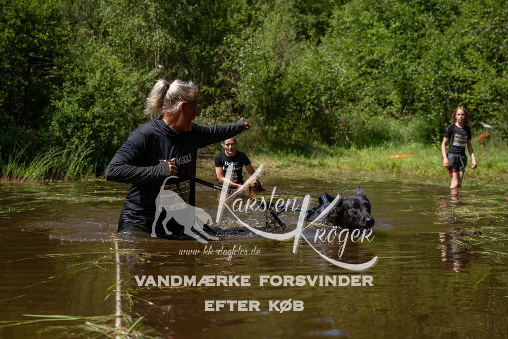 DK K990969141410 | kk-dogfotos