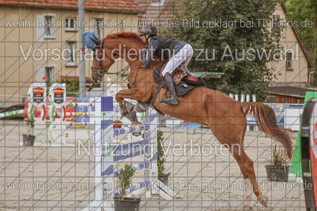 2025-09-22_11-27-15_MG_9921 | TE-Fotos