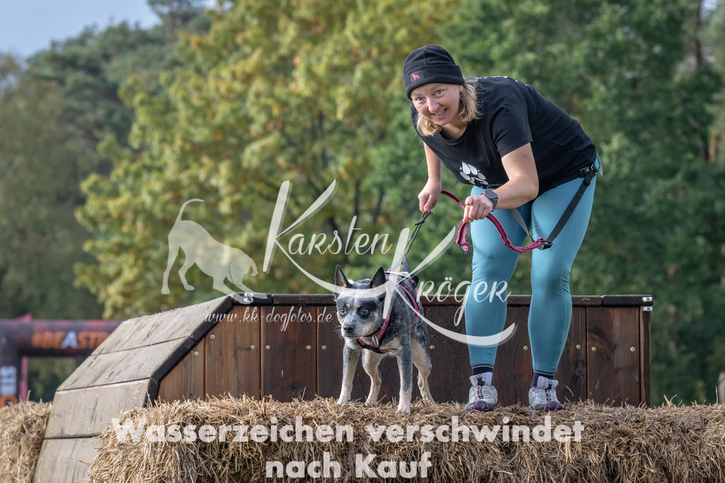 1417-94647 | kk-dogfotos