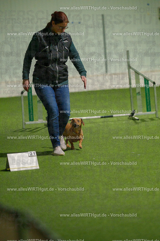 7R508656 | Professionelle Tierfotografie in Mönchengladbach von Daniel Wirth (allesWIRTHgut). Liebevolle & natürliche Bilder von Hunden & Katzen für unvergessliche Erinnerungen.