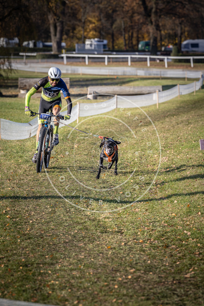 CaniXpix_DV3A2520 | Hundefotografie, Tierfotograf, Pfotenfotografie, Fotoshooting Hund, Hunde Portrait, Hundesport, Hundeportraits, Heideshooting, Hunde, Sportfotograf, Hundefotograf, Turnierhundsport, THS,  - Realisiert mit Pictrs.com