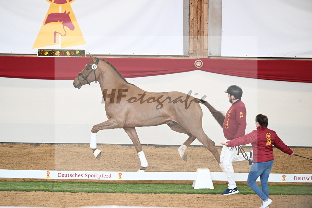 Kat.-Nr. 85 v. Vitalis_Wiens_2250790 | hf-fotografie - Realisiert mit Pictrs.com