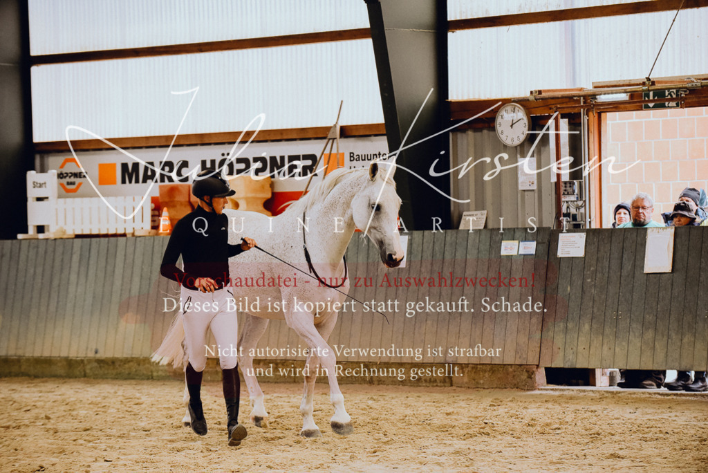 DSC_6952 | Pferde- und Turnierfotografie in Westsachsen. Pferdeportraits, Auftragszeichnungen und intuitive Kunst.