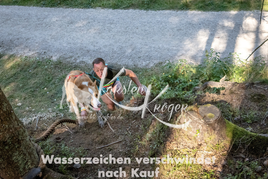 1130_ZZ90684 | kk-dogfotos