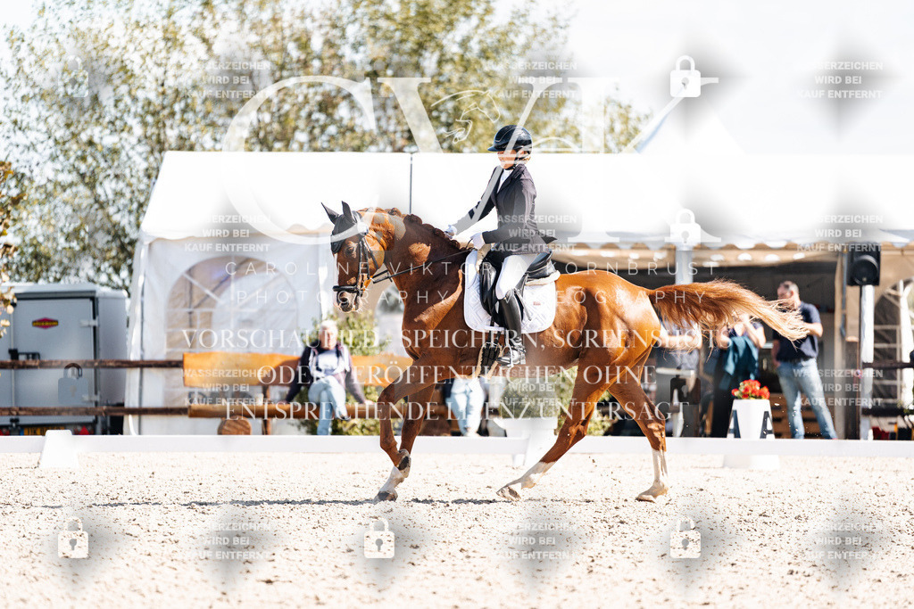 CK902840 | Turnierfotografie Pferdefotografie Trier Rheinland-Pfalz Pferdesport Reitsport Tierfotografie Sportfotografie Pferdevideo Pferdevideografie Equestrianvideography equestrianphotography  - Realisiert mit Pictrs.com