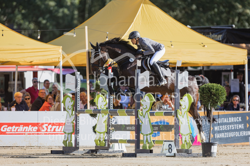 220828_Delbrueck_A2-Spr-244 | Deine schönsten Turniermomente als professionelle Fotos! Entdecke hochwertige Pferdesport-Fotografie im Online-Shop. Jetzt Fotos finden & bestellen!