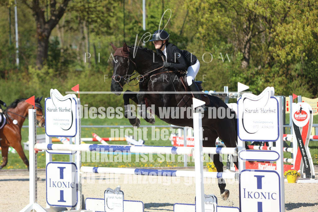 IMGM2540 | pl-fotografie
