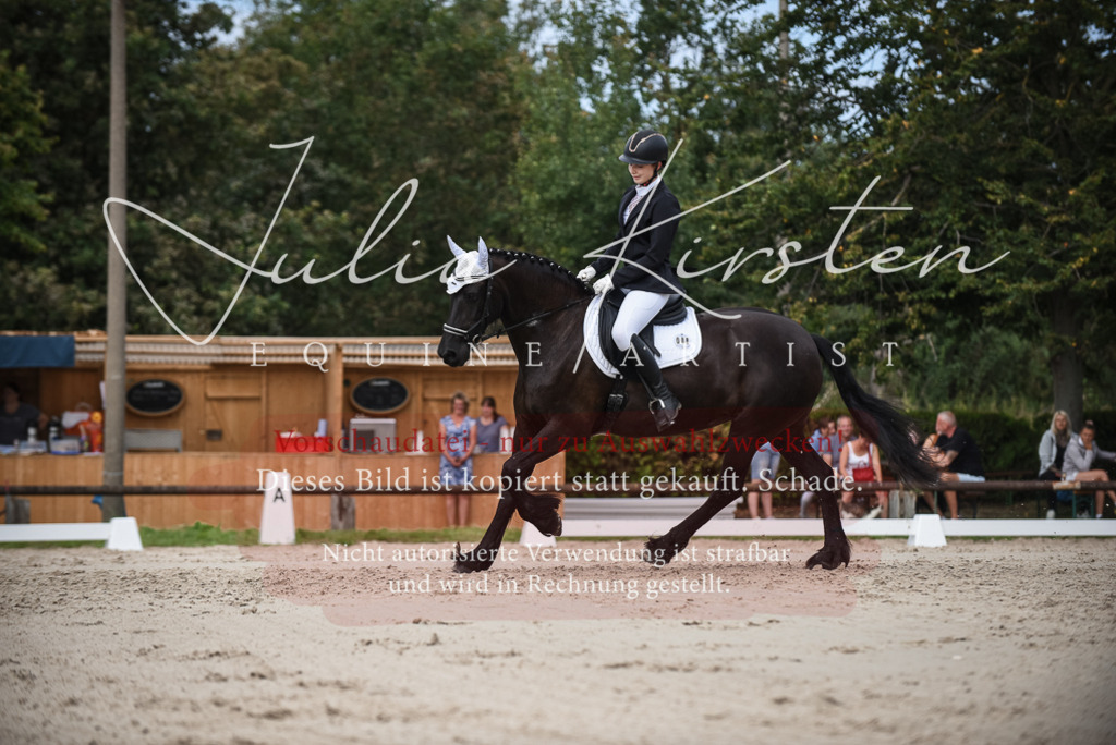 DSC_8610 | Pferde- und Turnierfotografie in Westsachsen. Pferdeportraits, Auftragszeichnungen und intuitive Kunst.