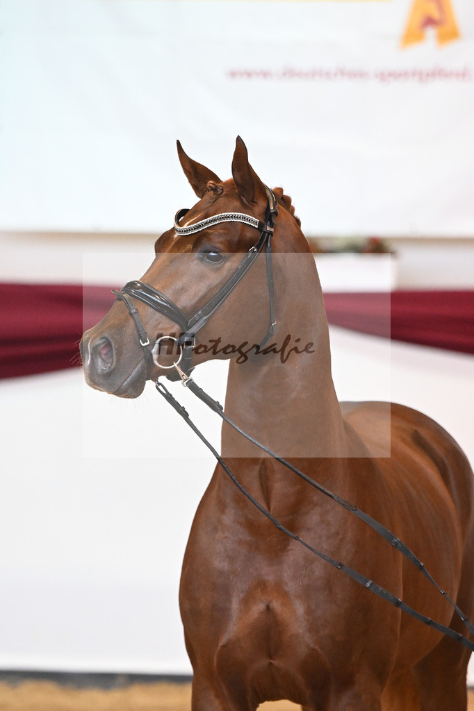 Kat-Nr. 74 v. Le Formidable_Maier_66220329 | hf-fotografie - Realisiert mit Pictrs.com