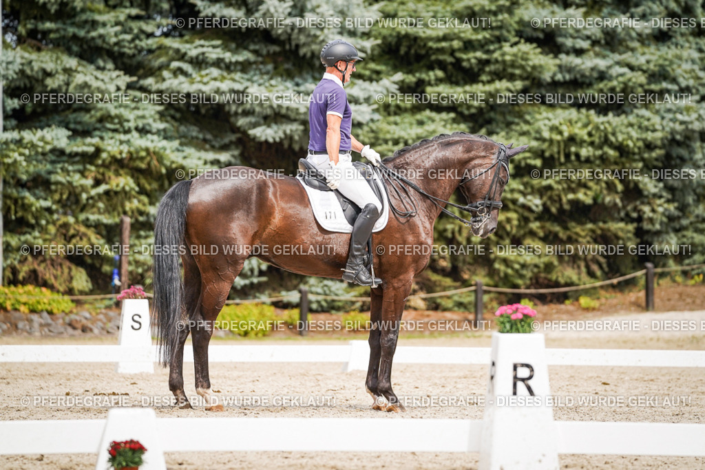 DSC06308 | Pferdegrafie