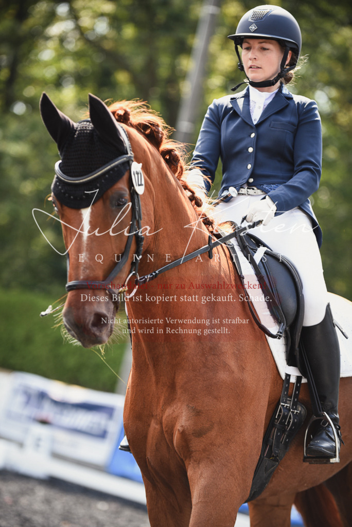 DSC_4108 | Pferde- und Turnierfotografie in Westsachsen. Pferdeportraits, Auftragszeichnungen und intuitive Kunst.