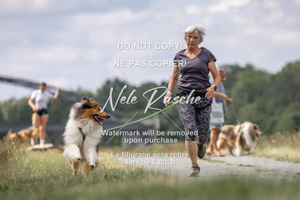 nelerasche_BuHu2026_SaCC1100-1200_03 | nelerasche